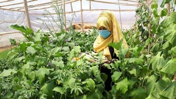 جوانان در حال کار در گلخانه جامعه